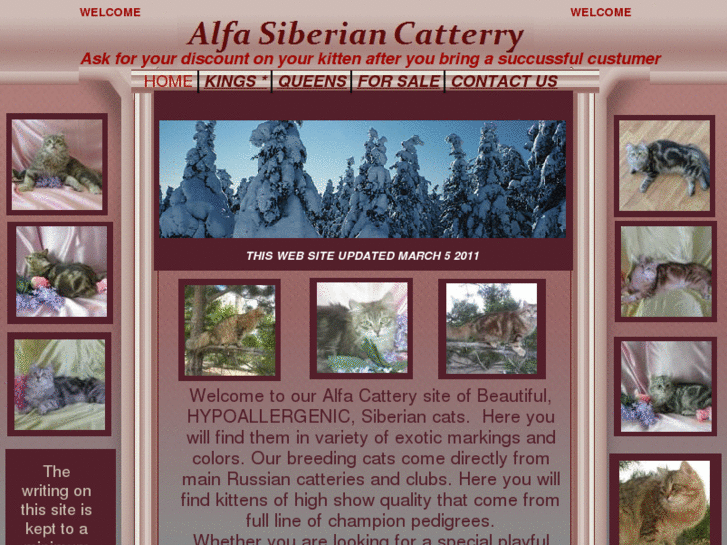 www.alfa-siberian-cattery.com