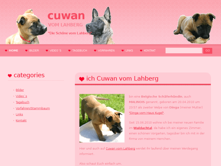 www.cuwan.info