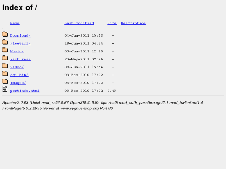 www.cygnus-loop.org