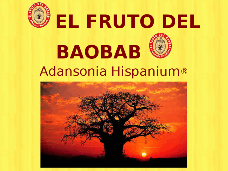 www.elfrutodelbaobab.com