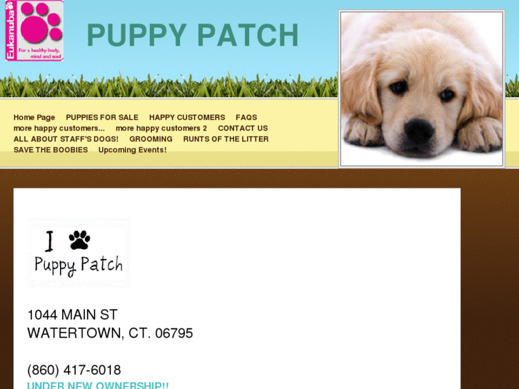 www.puppypatchct.com