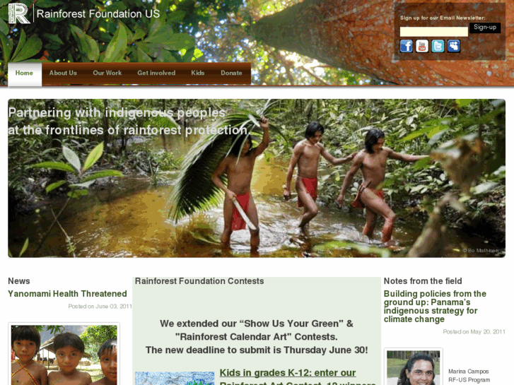 www.rainforestfoundation.org