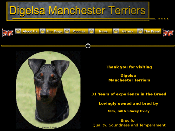 www.digelsa-manchester-terriers.com