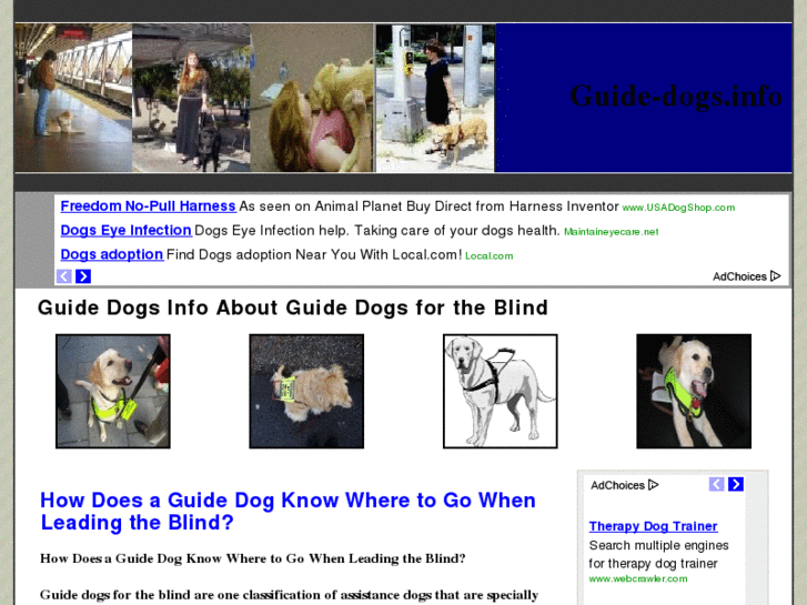 www.guide-dogs.info