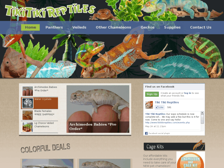 www.tikitikireptiles.com