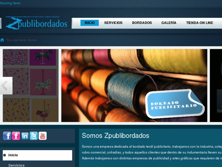 www.zpublibordados.es