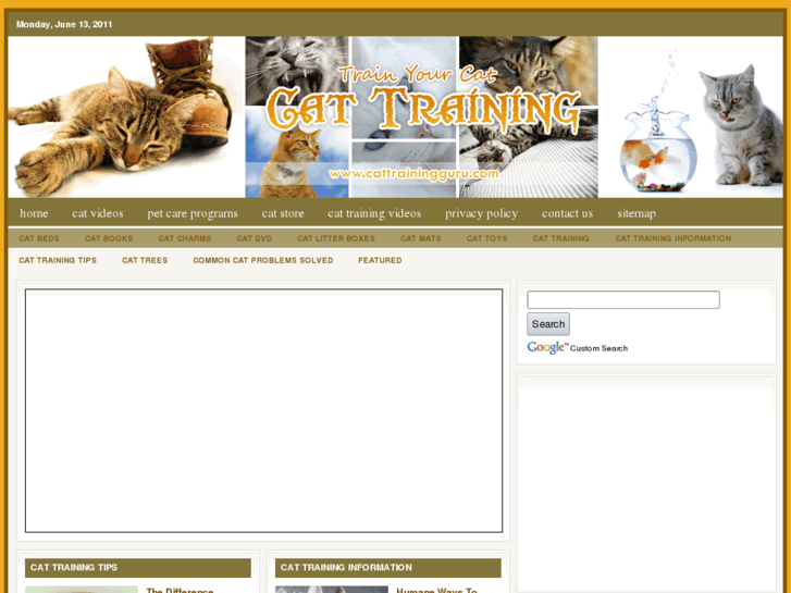 www.cattrainingguru.com