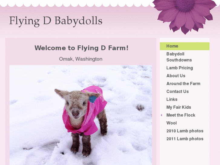 www.flyingdbabydolls.com