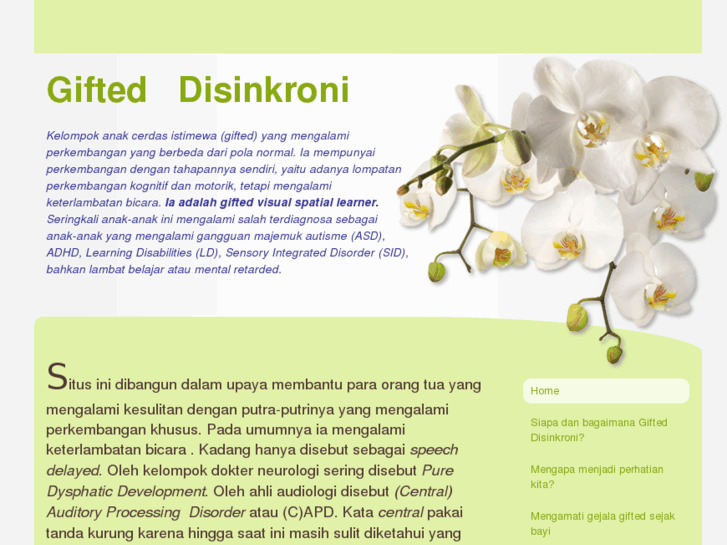 www.gifted-disinkroni.com