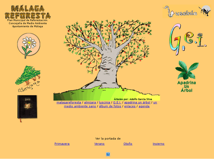 www.malagareforesta.org