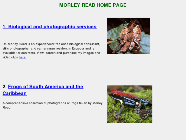 www.morley-read.com