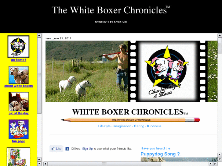 www.whiteboxers.com