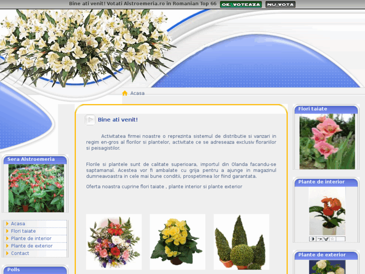 www.alstroemeria.ro