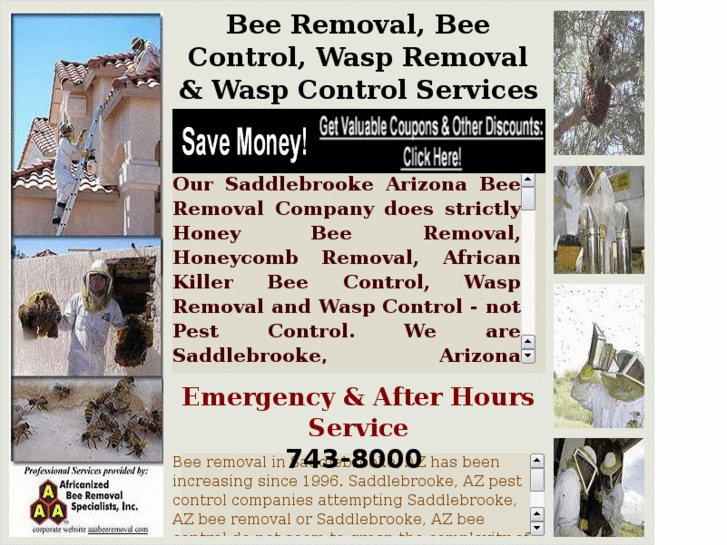 www.beeremovalsaddlebrookeaz.com