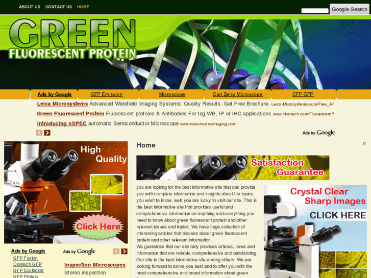 www.greenfluorescentprotein.com