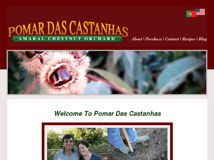 www.pomardascastanhas.com