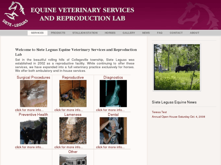 www.sieteleguasequinevet.com