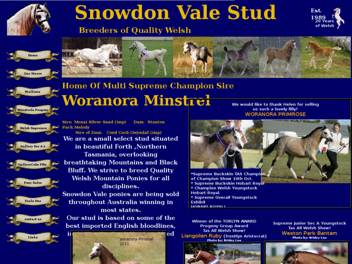 www.snowdonvale.com