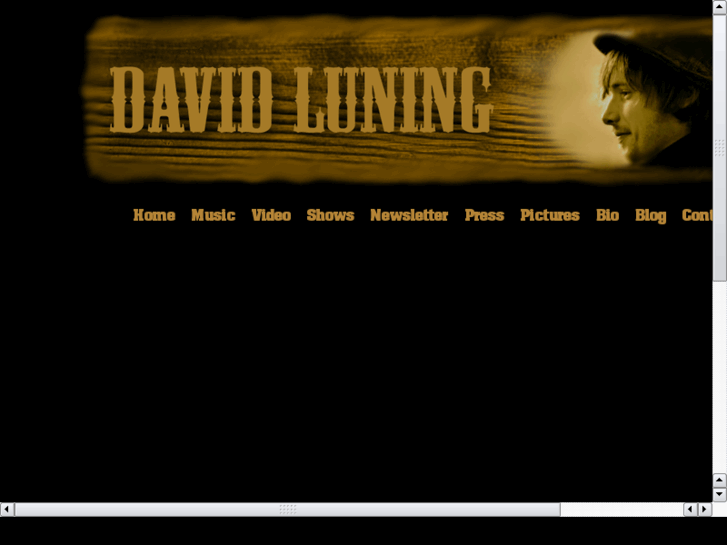 www.davidluning.com