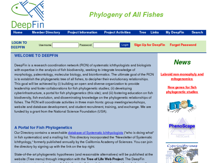 www.deepfin.org