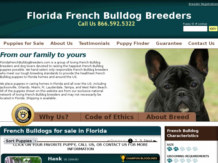 www.floridafrenchbulldogbreeders.com