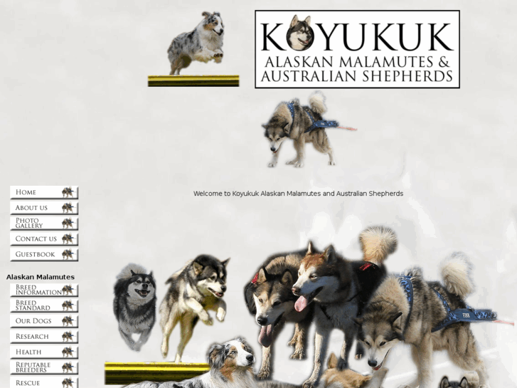 www.koyukuk-sleddogs.com