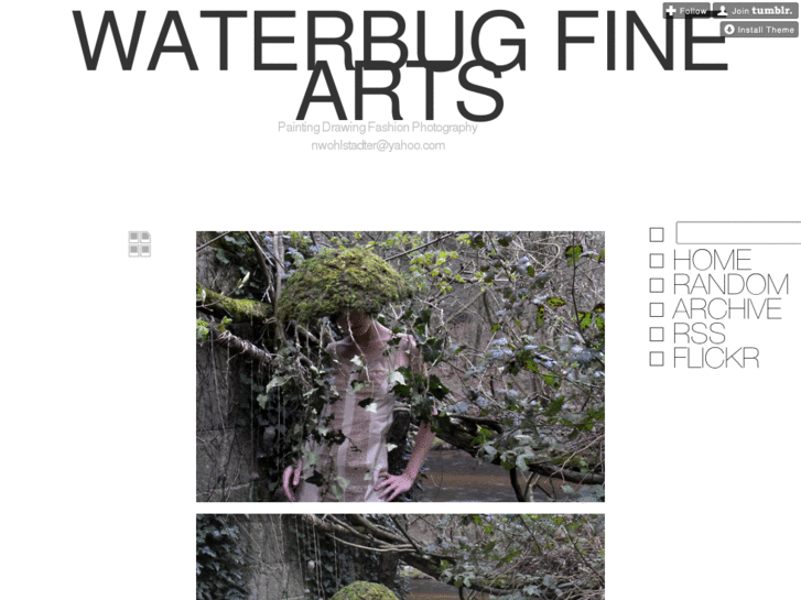 www.waterbugfinearts.com