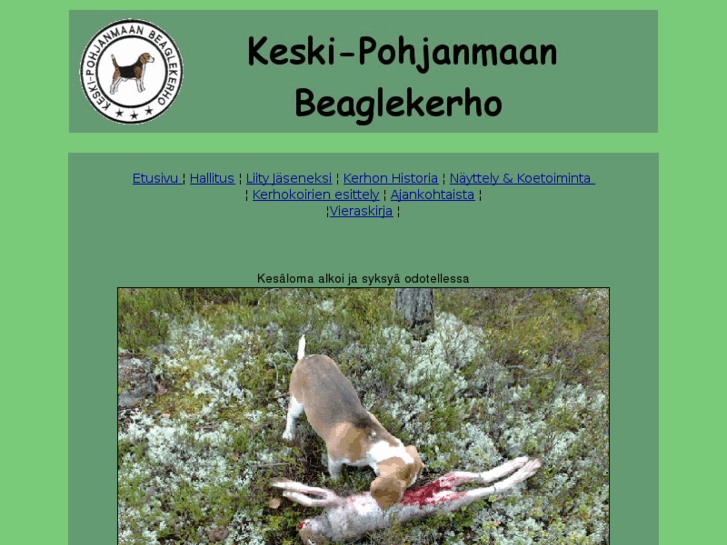 www.keskipohjanmaanbeagle.net