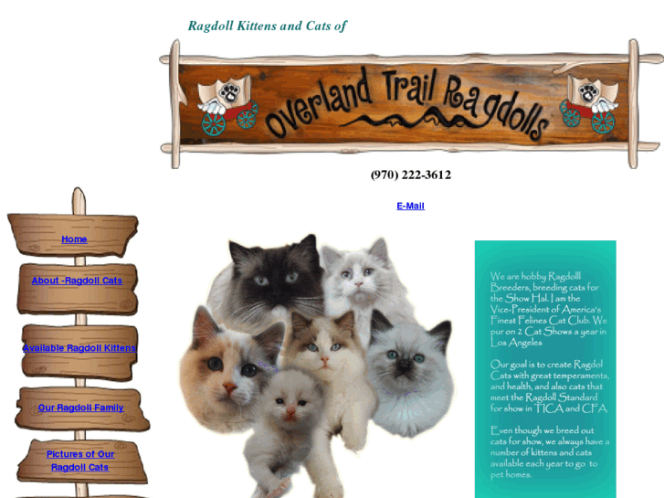 www.ragdoll-kittens.com