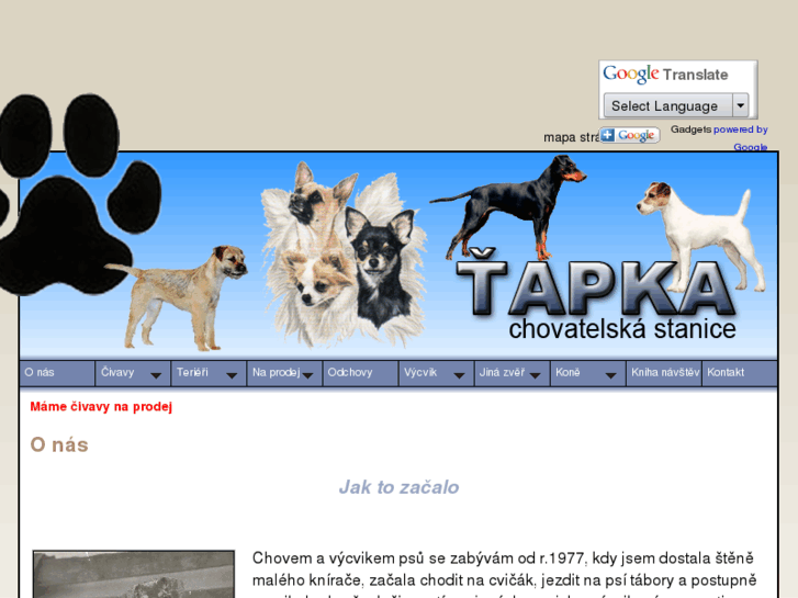 www.tapka.cz