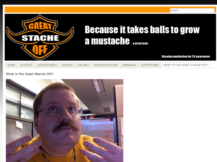 www.thegreatstacheoff.com