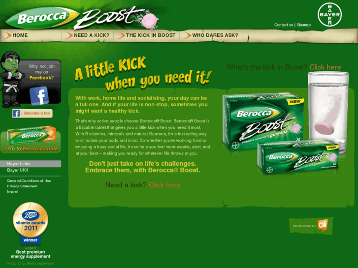 www.beroccaboost.co.uk