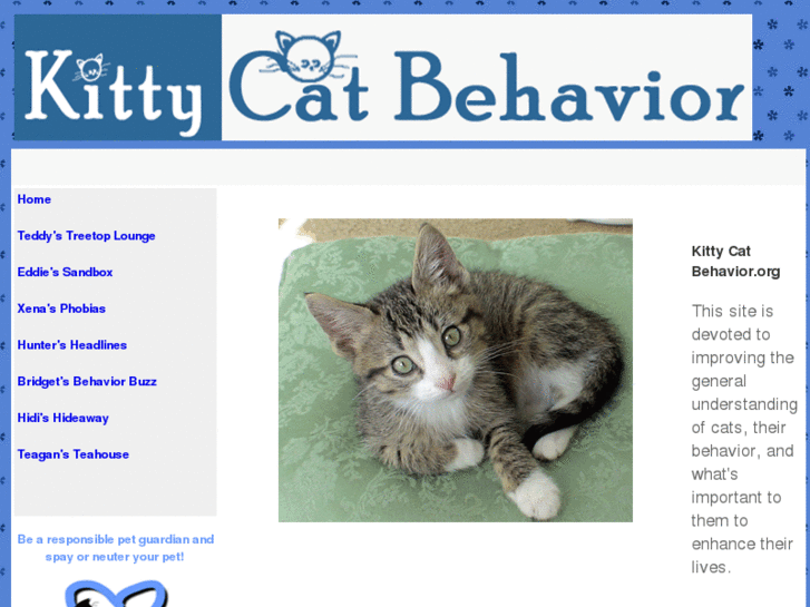 www.kittycatbehavior.org
