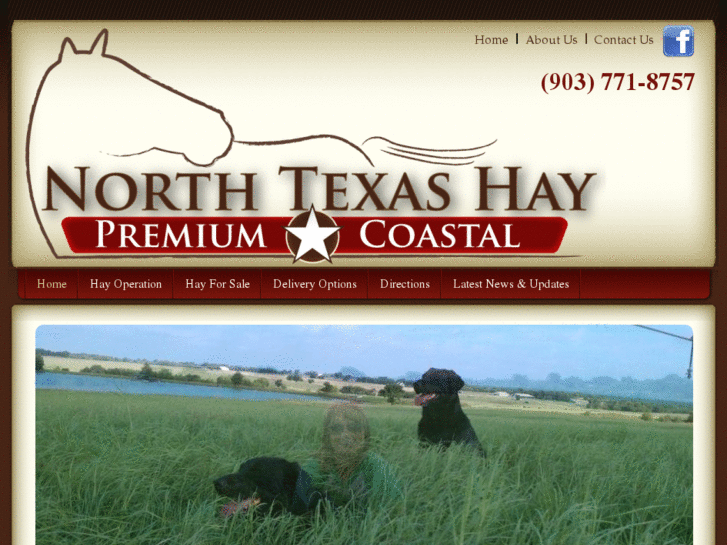 www.northtexashay.com