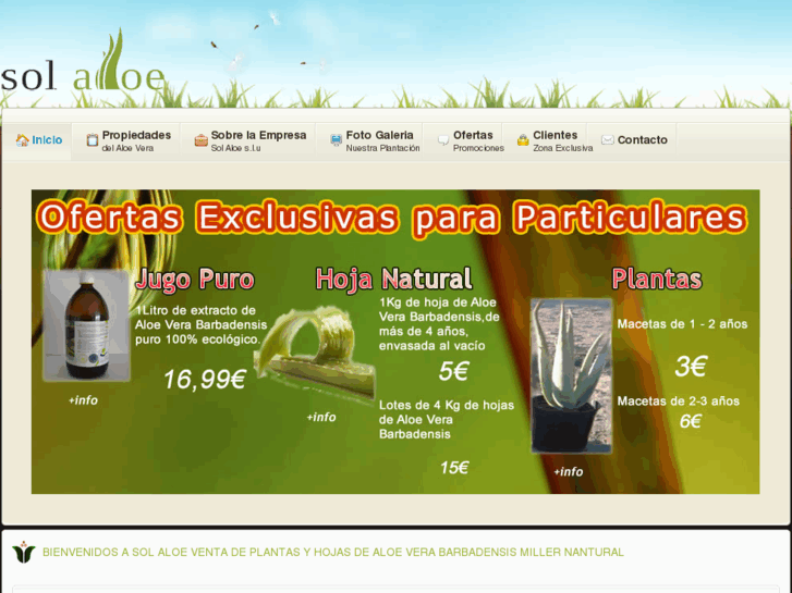 www.solaloe.es