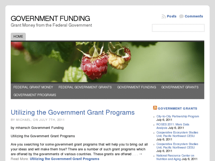 www.topgovernmentfunding.com