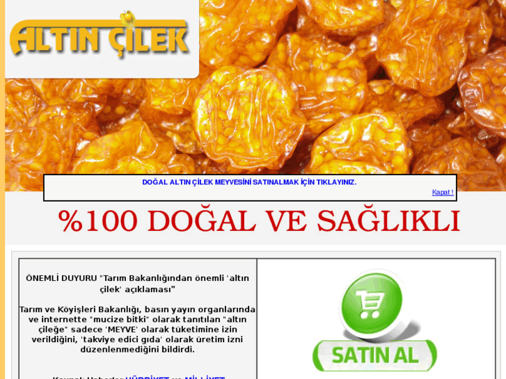 www.altincilek.com