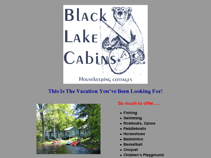 www.blacklakecabins.com