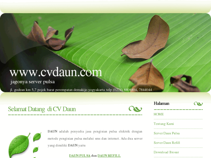 www.cvdaun.com