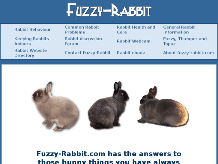 www.fuzzy-rabbit.com