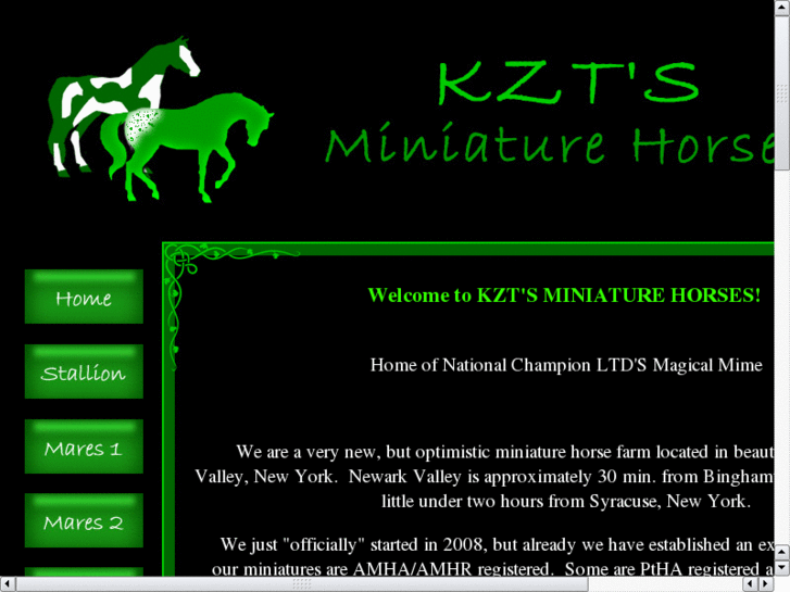 www.kztsminiatures.com