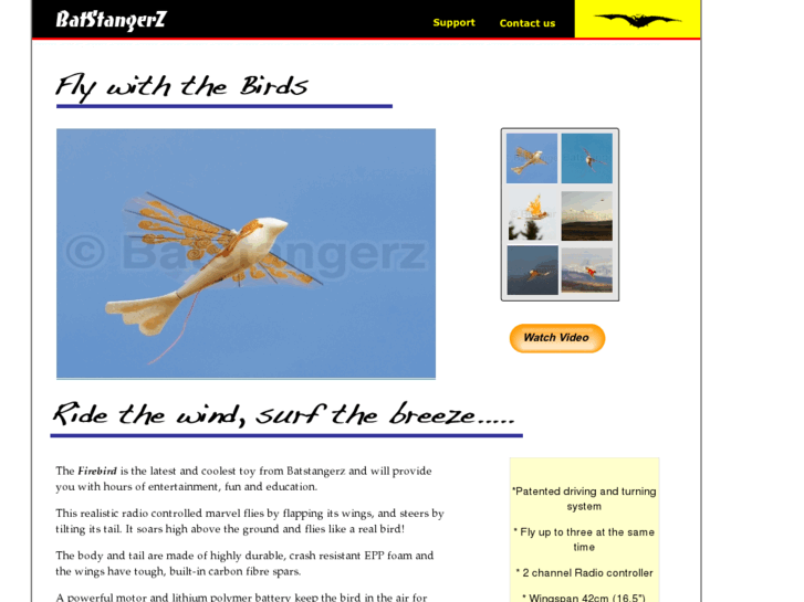 www.rcfirebird.com