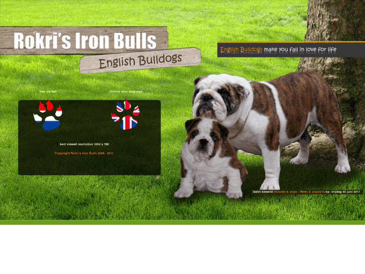 www.rokrisironbulls.nl