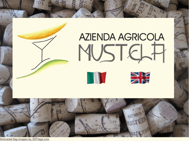 www.vinimustela.com