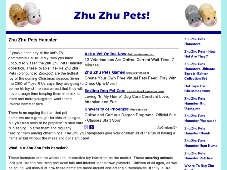 www.zoozoohamsters.com