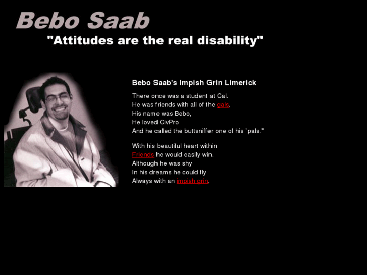 www.bebosaab.com