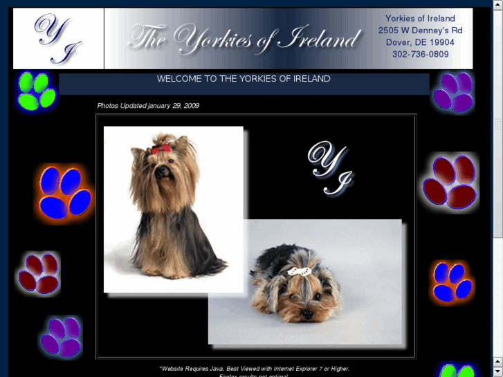 www.yorkiesofireland.com