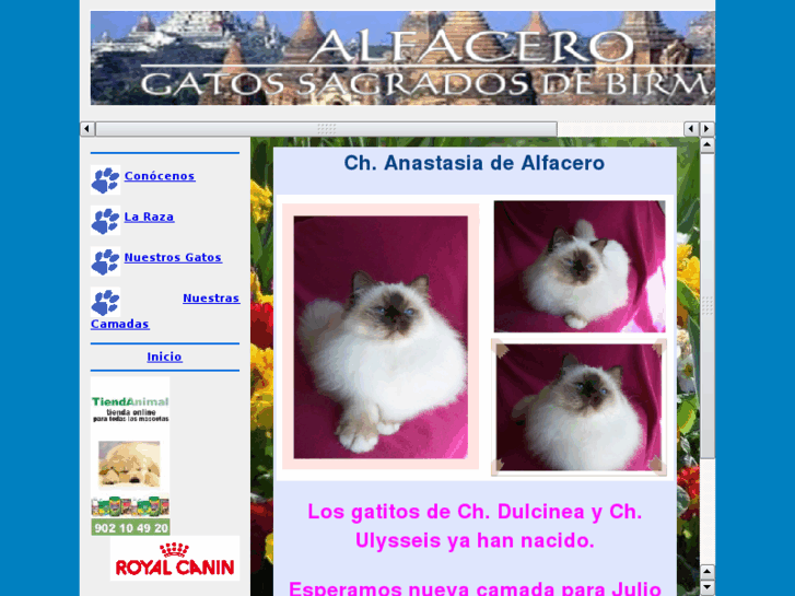www.alfacero.com.es