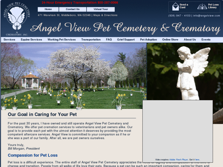 www.angelview.com