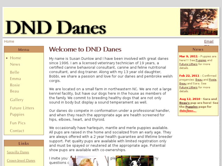 www.dnddanes.com